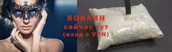 сатива Аркадак