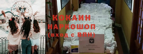 сатива Аркадак