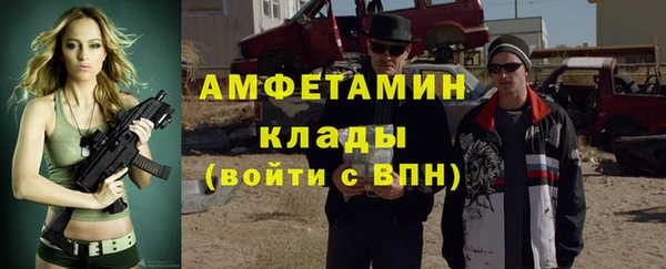 сатива Аркадак