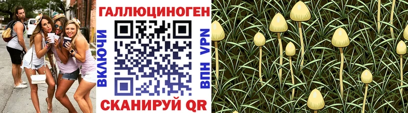 Галлюциногенные грибы мицелий  Сим 